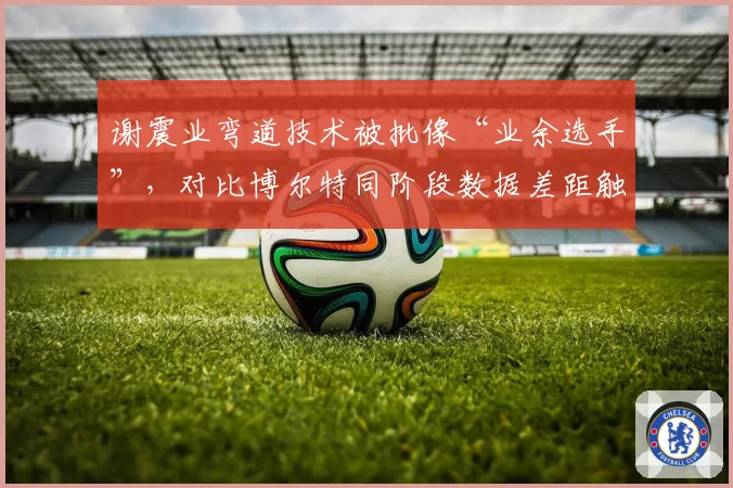 谢震业弯道技术被批像“业余选手”，对比博尔特同阶段数据差距触目惊心