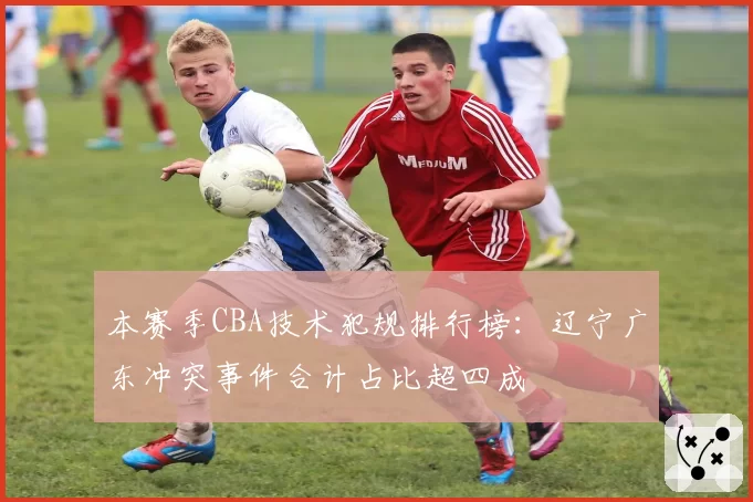 本赛季CBA技术犯规排行榜：辽宁广东冲突事件合计占比超四成